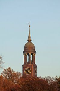 Hamburger Michel im Abendlicht, Hamburg, Deutschland