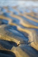 Strand patroon