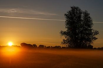 Silence at dawn