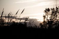 Setting sun