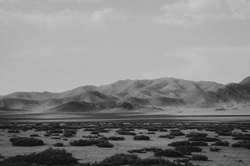 Mountains and some fields in Mongolia | outdoor and documentary photography