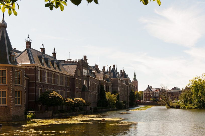 Binnenhof Den Haag van Brian Morgan