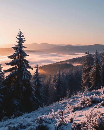 Winterlandschaft