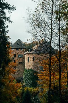 Schloss Reinhardstein von Dieuwke Slump
