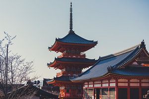 Kyozumi Dera Tempel in Kyoto van Luis Emilio Villegas Amador