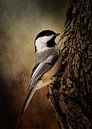 Vogel Schilderij Met Een Mees In Bruin Landschap van Diana van Tankeren thumbnail