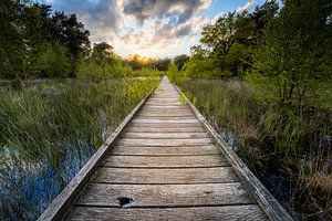 L'ancien chemin de planches