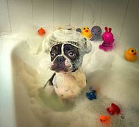 Le bain