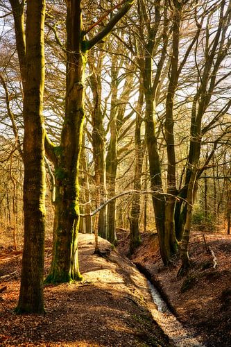 Veluwezoom Sprengen te Eerbeek