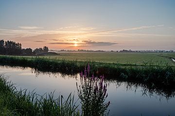 Nederlands landschap zonsondergang zonsopgang weiland bloemen van Déwy de Wit
