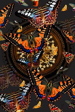 Vlinders vlinders van Foto Studio Labie