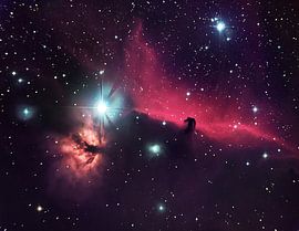 Das Pferd im Himmel von Andrea Auf dem Brinke