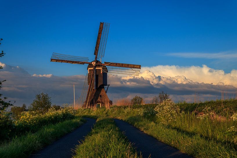 Die Hosenmühle am Tag mit der Sonne im Rücken von Rob Saly