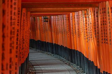 Fushimi Inari-taisha  in Kioto van Jacob Kooistra