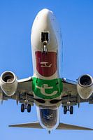 Transavia Boeing 737 landt op Schiphol