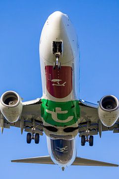 Transavia Boeing 737 landt op Schiphol van Maxwell Pels