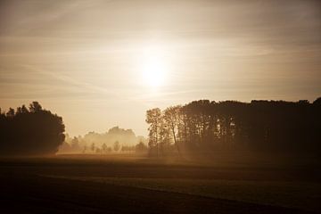 Brume matinale dorée sur Ilse Mertens