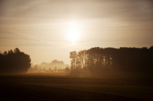 Goldener Morgennebel