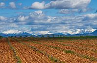 Haut plateau von Georges Rudolph Miniaturansicht