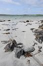 Scotland by Annick Cornu thumbnail