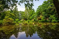 Natuurgebied met spiegelglad meer.