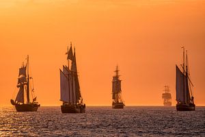 Sailing ships on the Hanse Sail van Rico Ködder