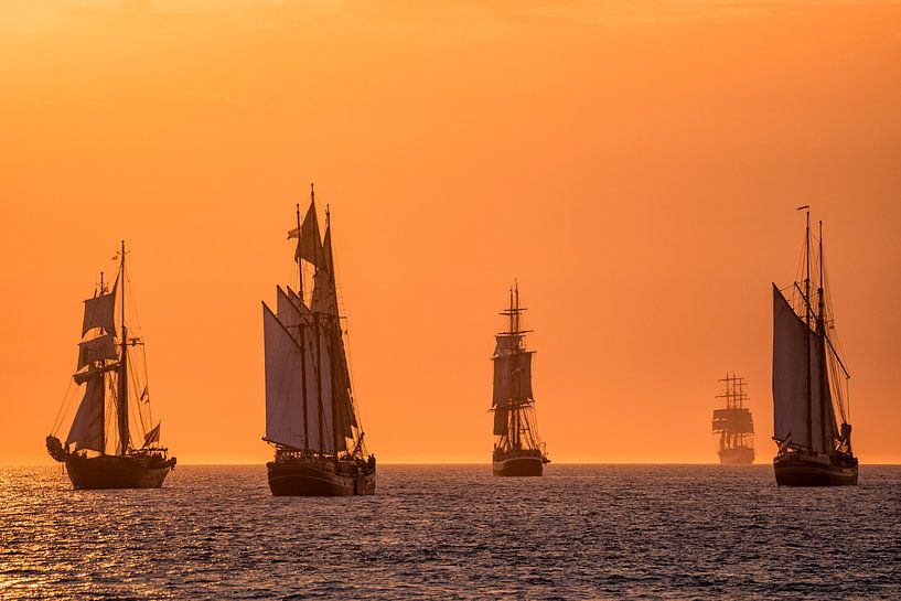 Segelschiffe auf der Hanse Sail von Rico Ködder