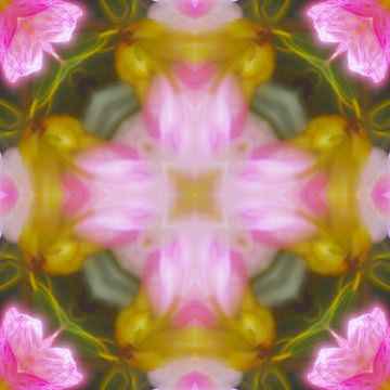 Mandala in sanften Farben von Steffi Hommel