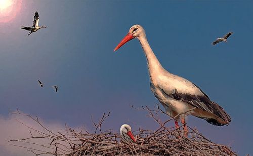 Stork's nest far away and high in the trees