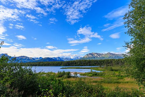 Denali Vista: A Serene View from Byers Lake