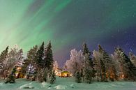 Northern Lights by Frank Peters thumbnail