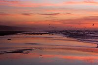Het strand oranje kleuren
