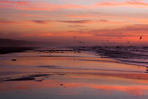 Het strand oranje kleuren