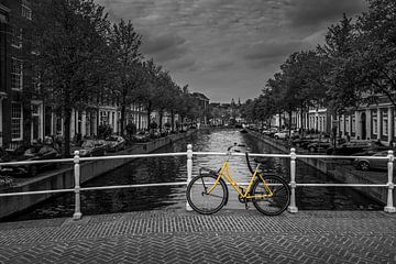 Yellow bike Leiden van Patrick Herzberg
