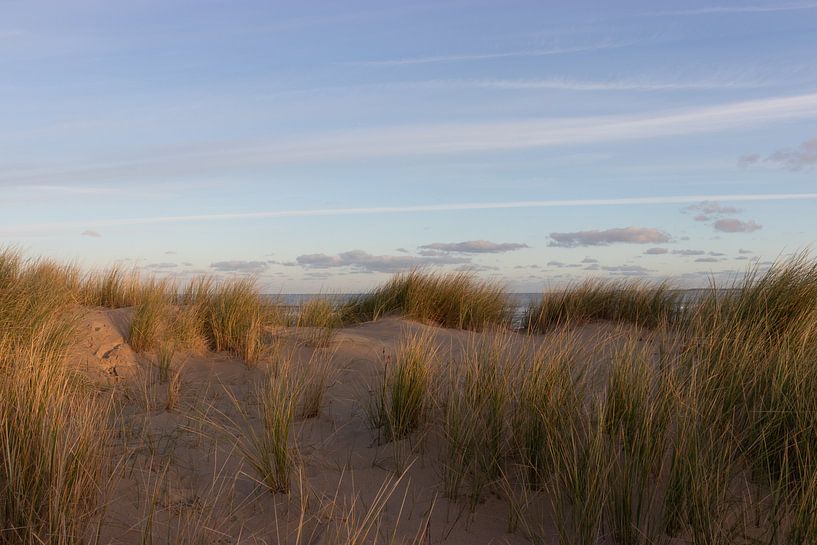 Dunes by Marjolein Albregtse