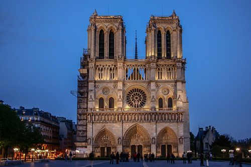 Parijs Notre dame in de nacht