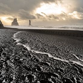Het zwarte strand van Reynisfjara in IJsland. van Danny Leij