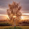 Autumn sunrise by Severin Frank Fotografie