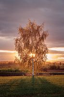 Autumn sunrise
