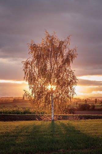Lever du soleil d'automne sur Severin Frank Fotografie