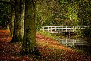 Herbstwald mit Brücke von Han van der Staaij