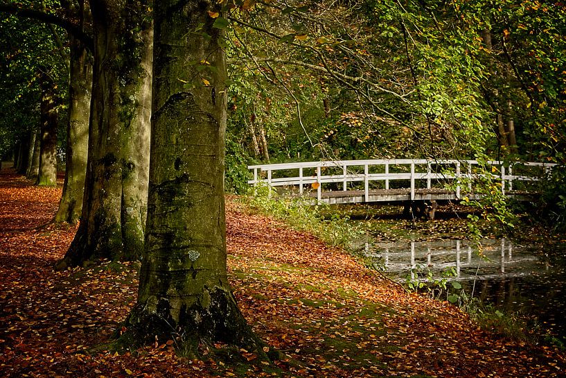 Autumn forest with bridge by Han van der Staaij