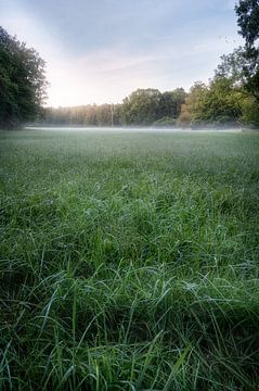 Mist in de ochtend in de Hasselbach vallei van Marc-Sven Kirsch