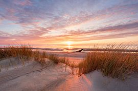 Die seeländische Küste von ihrer schönsten Seite von Jolanda de Leeuw