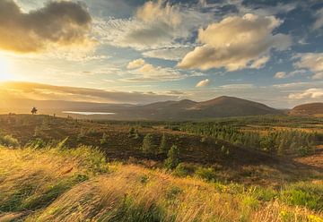 Cairngorms National Park (Schotland) van Marcel Kerdijk
