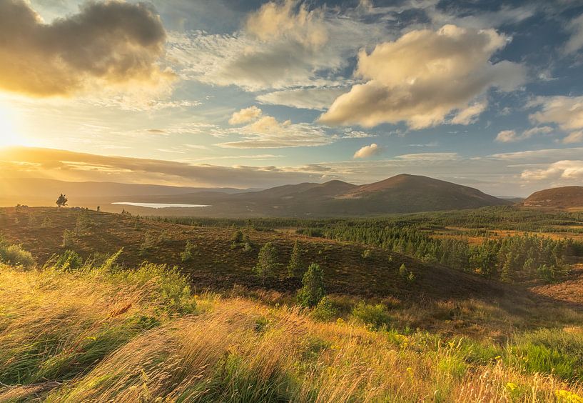 Parc national des Cairngorms (Écosse) par Marcel Kerdijk