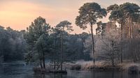 Winter bij het Van Esschenven