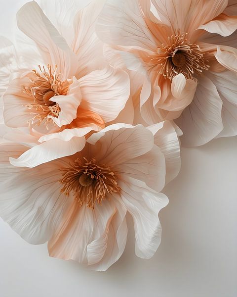 Große weiß/rosa Blüten von It starts with Art