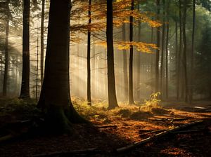 Herbstwald