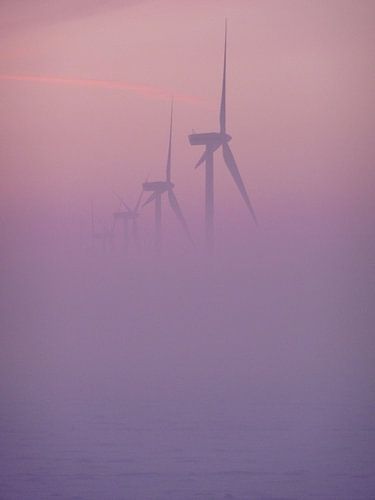windmolen by Peter Sakkers